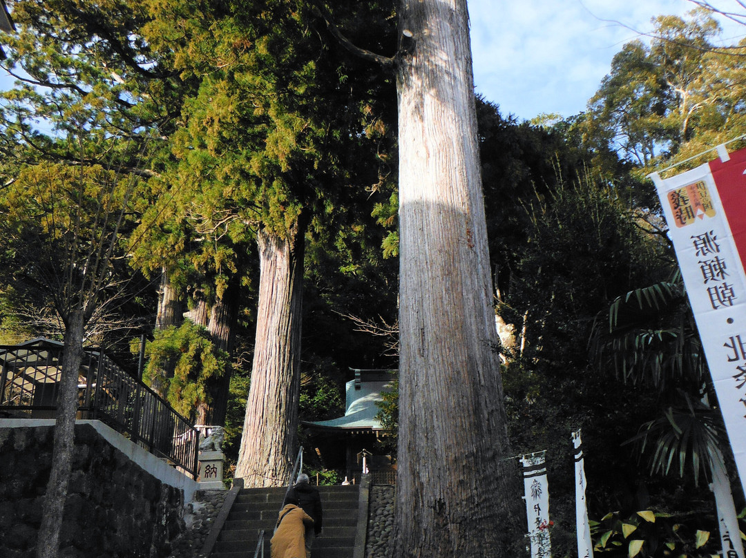 Hie Shrine-伊豆市必去景点