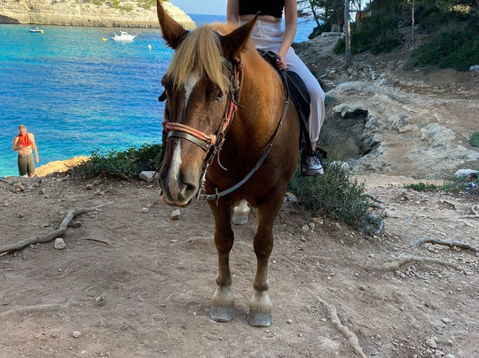 Menorca a Caballo-米诺卡必去景点