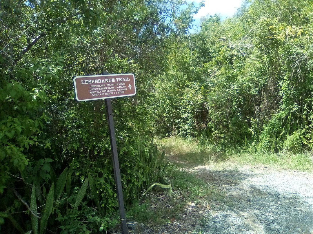 L’Esperance Trail-维尔京群岛国家公园必去景点