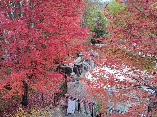 Chateau Beauvallon主图