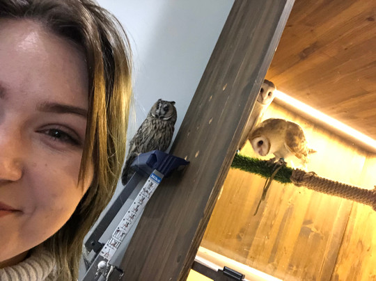 Soviny Dom  Anticafe-莫斯科必去景点