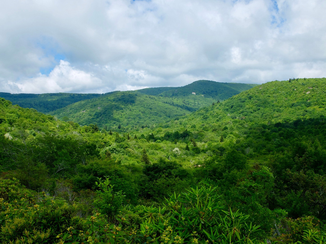 Pisgah National Forest景点图片