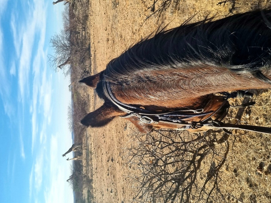 Farm Gross Okandjou-Omaruru必去景点