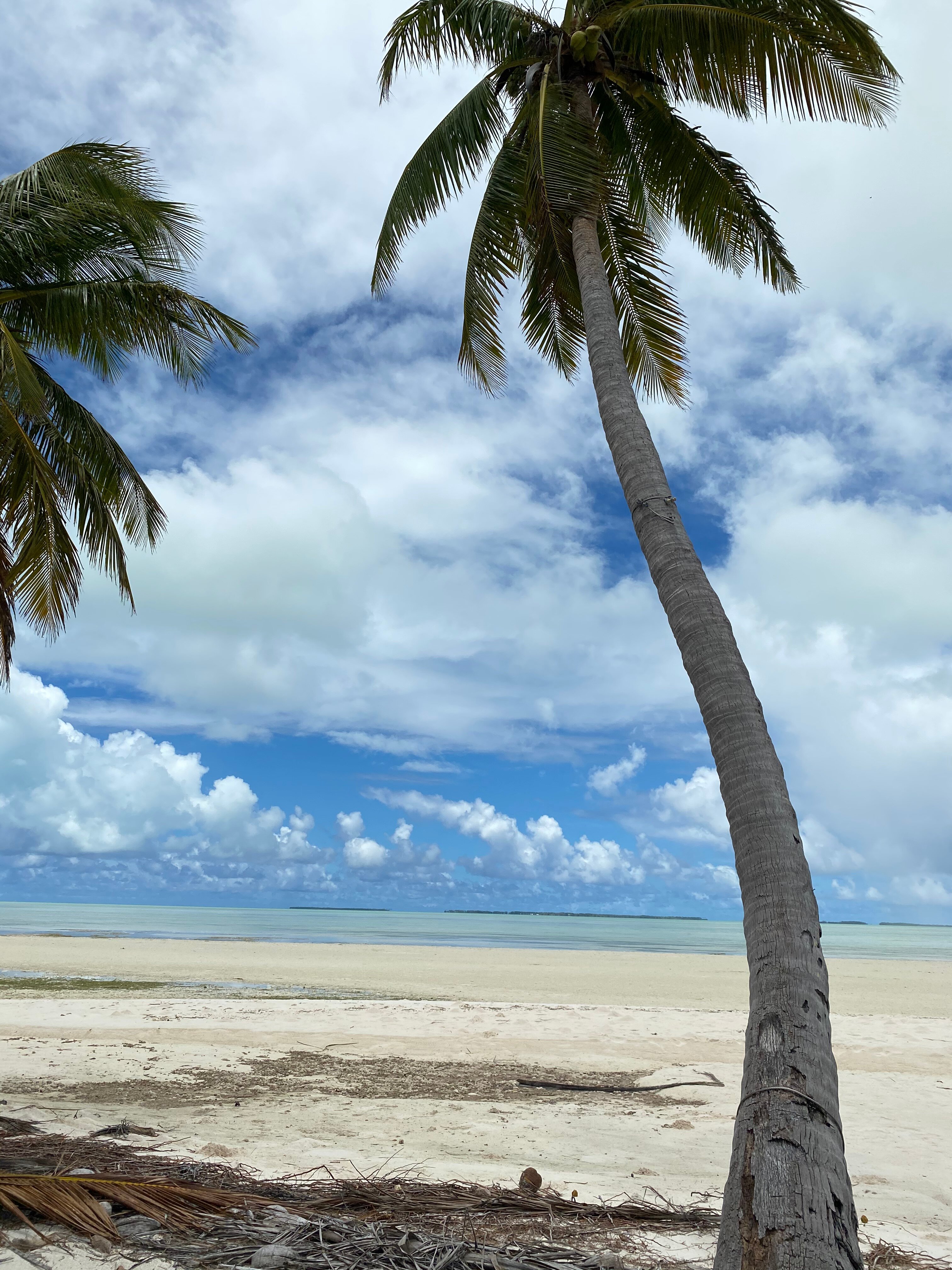 科科斯度假饭店-酒店景观