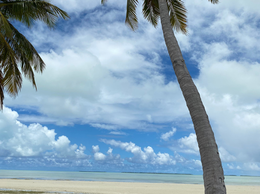 科科斯度假饭店主图