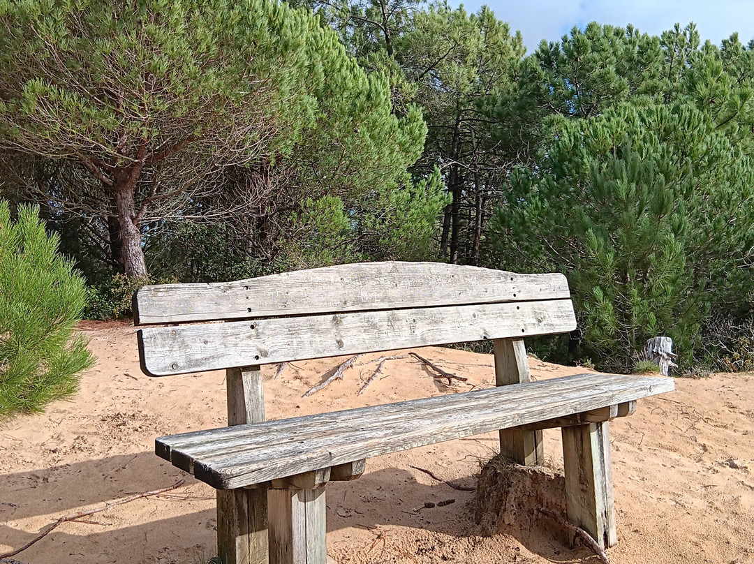 Forêt domaniale des Pays-de-Monts-Saint-Hilaire-de-Riez必去景点