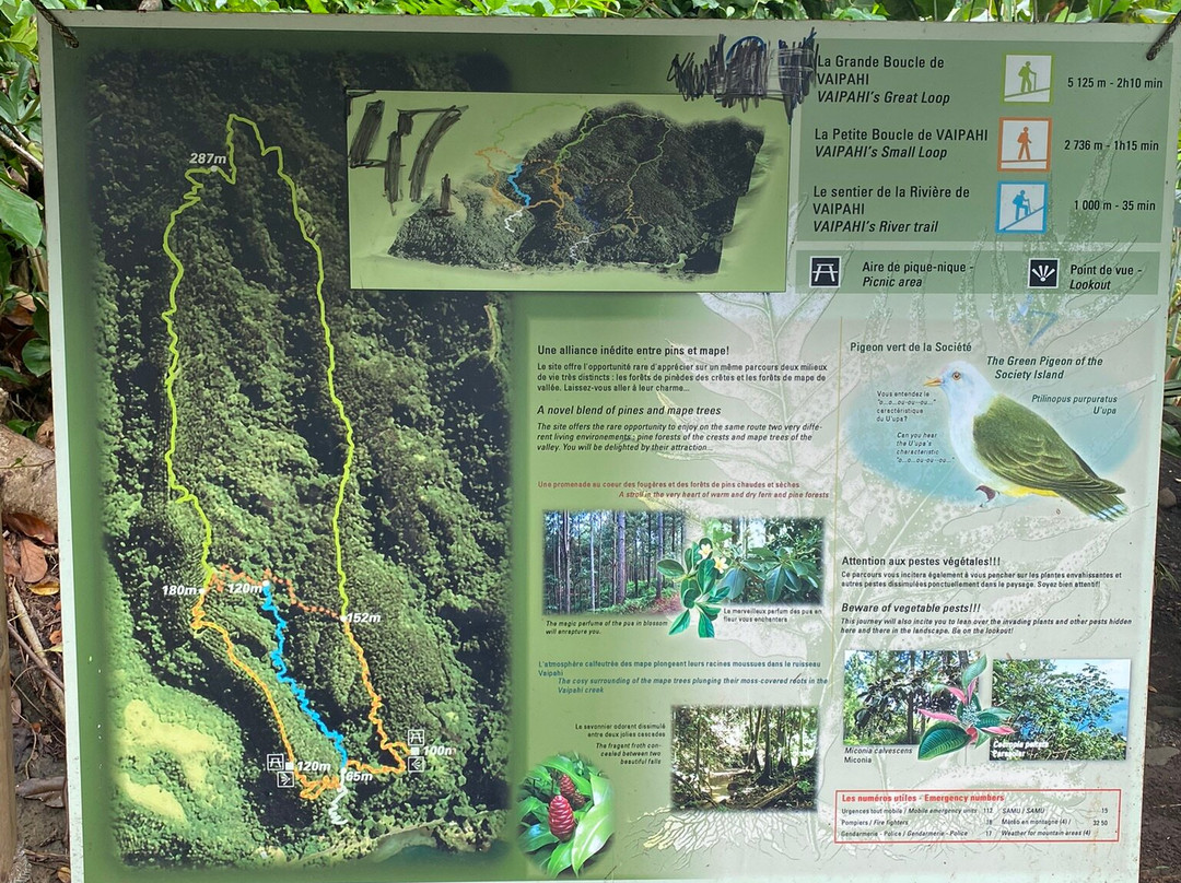 The Water Gardens of  Vaipahi景点图片