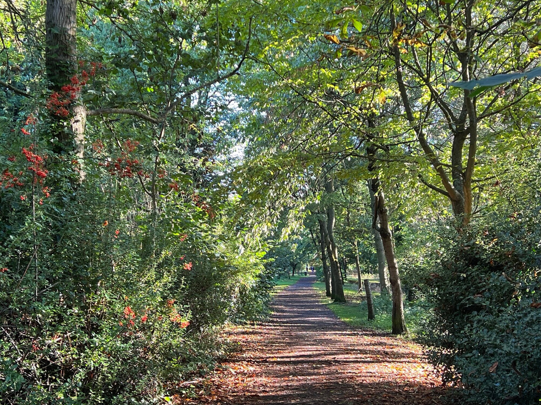 SHENLEY PARK-Shenley必去景点