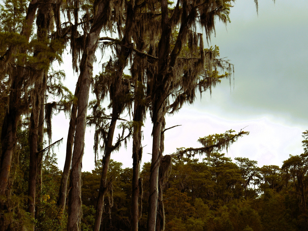 Stephen C. Foster State Park-Fargo必去景点