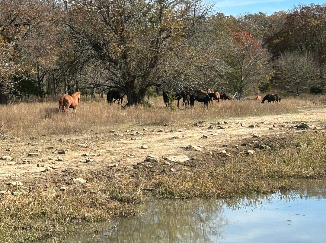 Mowdy Ranch-Coalgate必去景点