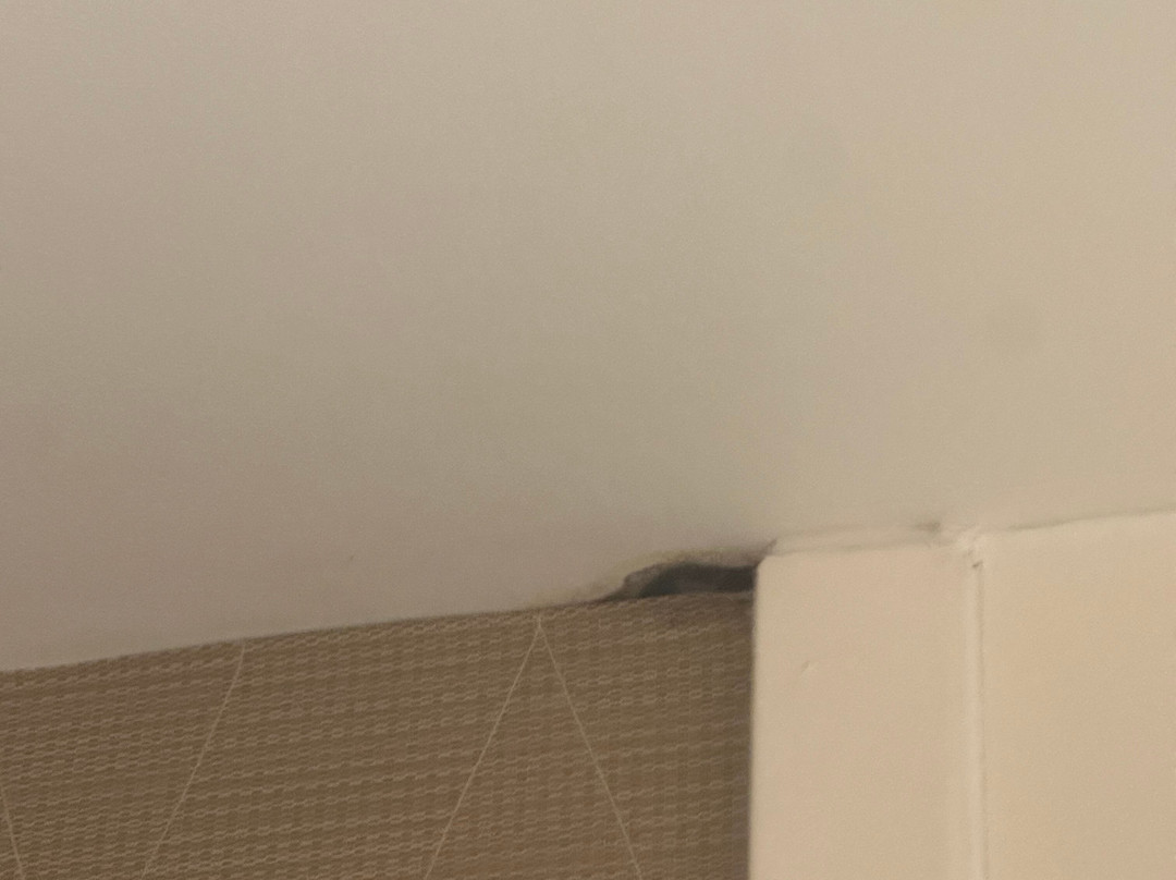 Hampton Inn & Suites Birmingham East Irondale主图