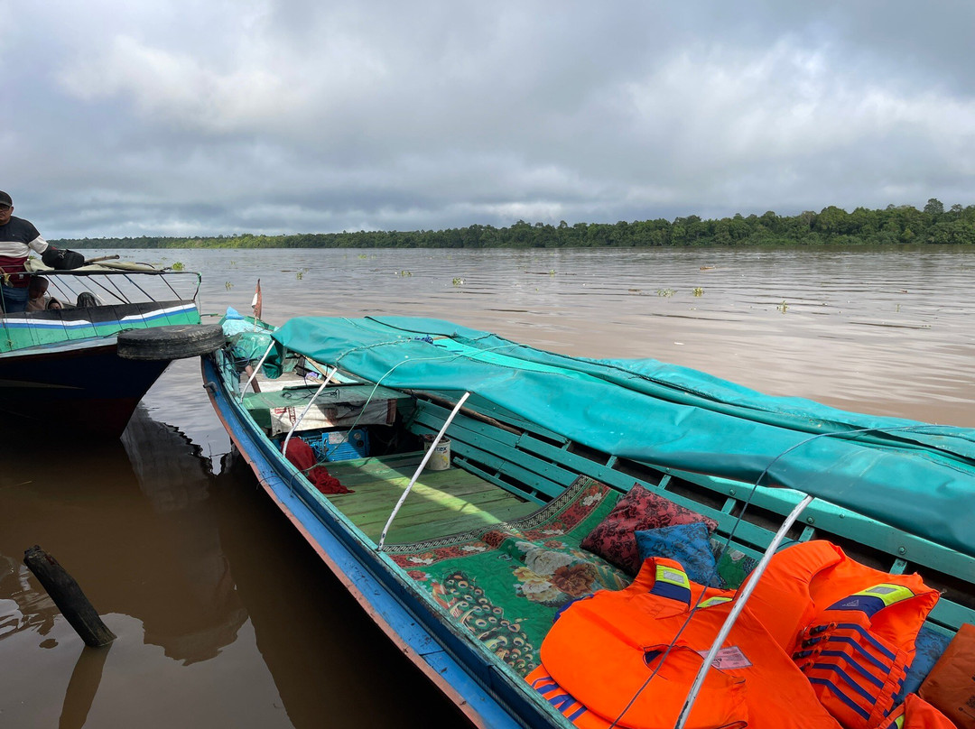 Barito River景点图片