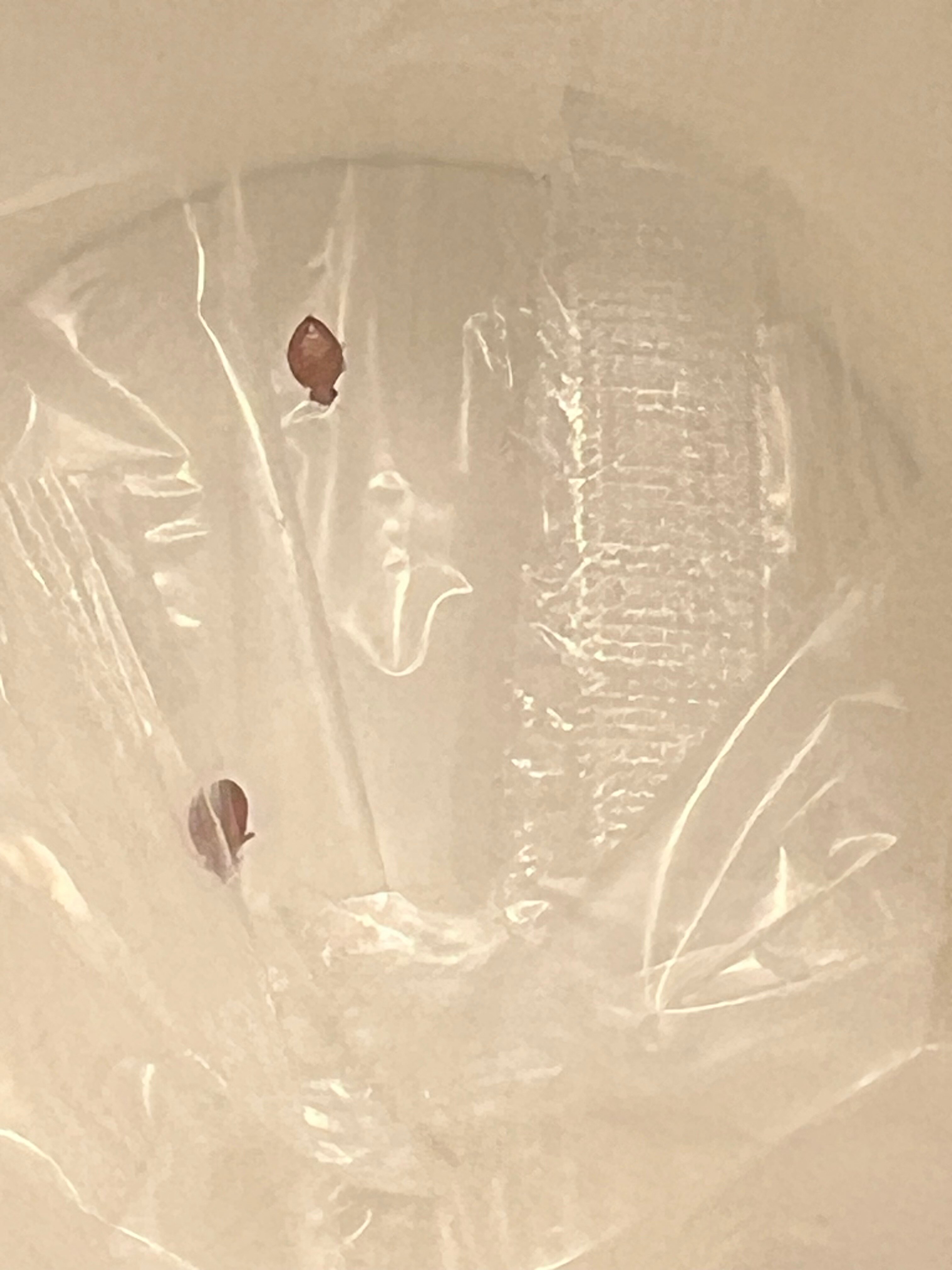 Hampton Inn Atlanta/Newnan-客卧