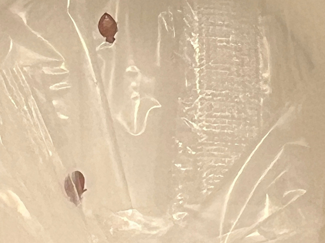 Hampton Inn Atlanta/Newnan主图