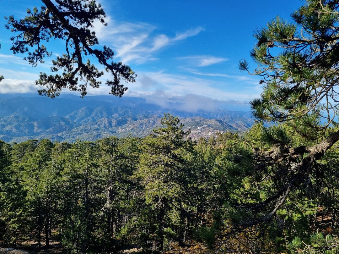 Atalante Nature Trail-特罗多斯必去景点