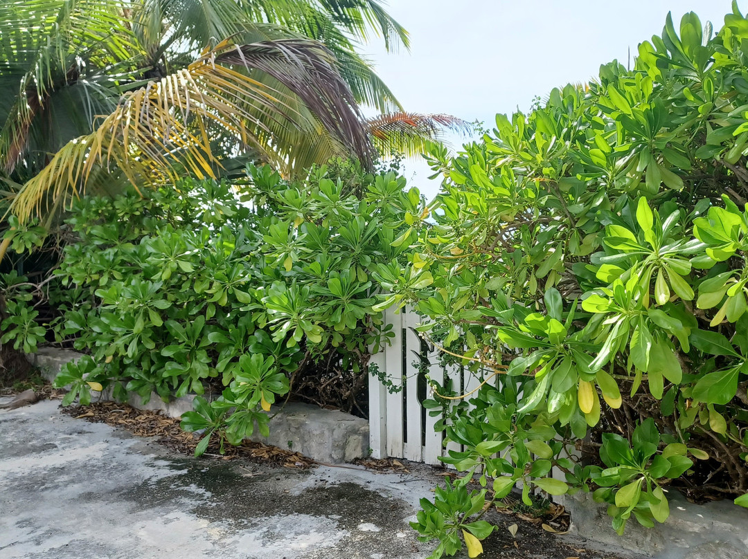 Rock Sound-伊柳塞拉必去景点