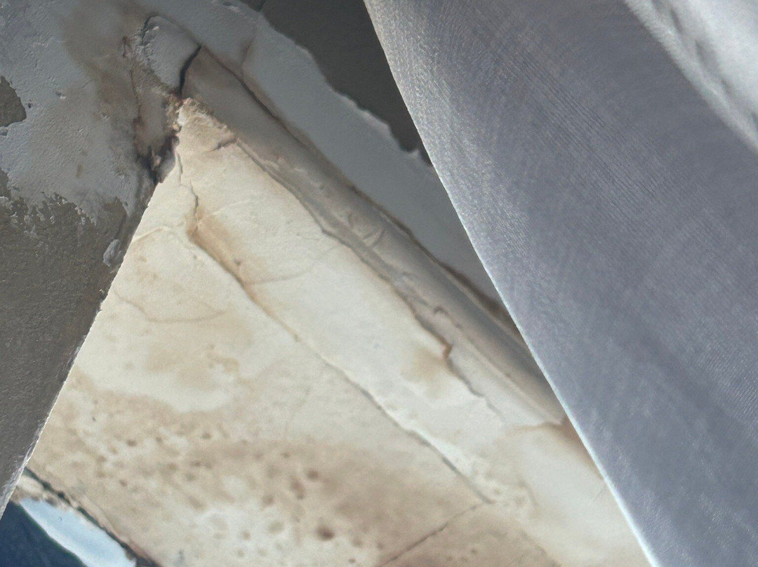 Quality Suites Sherman主图