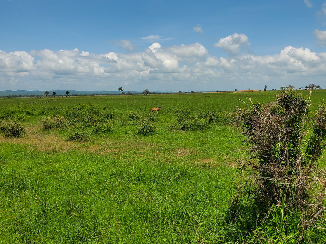 Safari Guides Adventure-Dar es Salaam必去景点