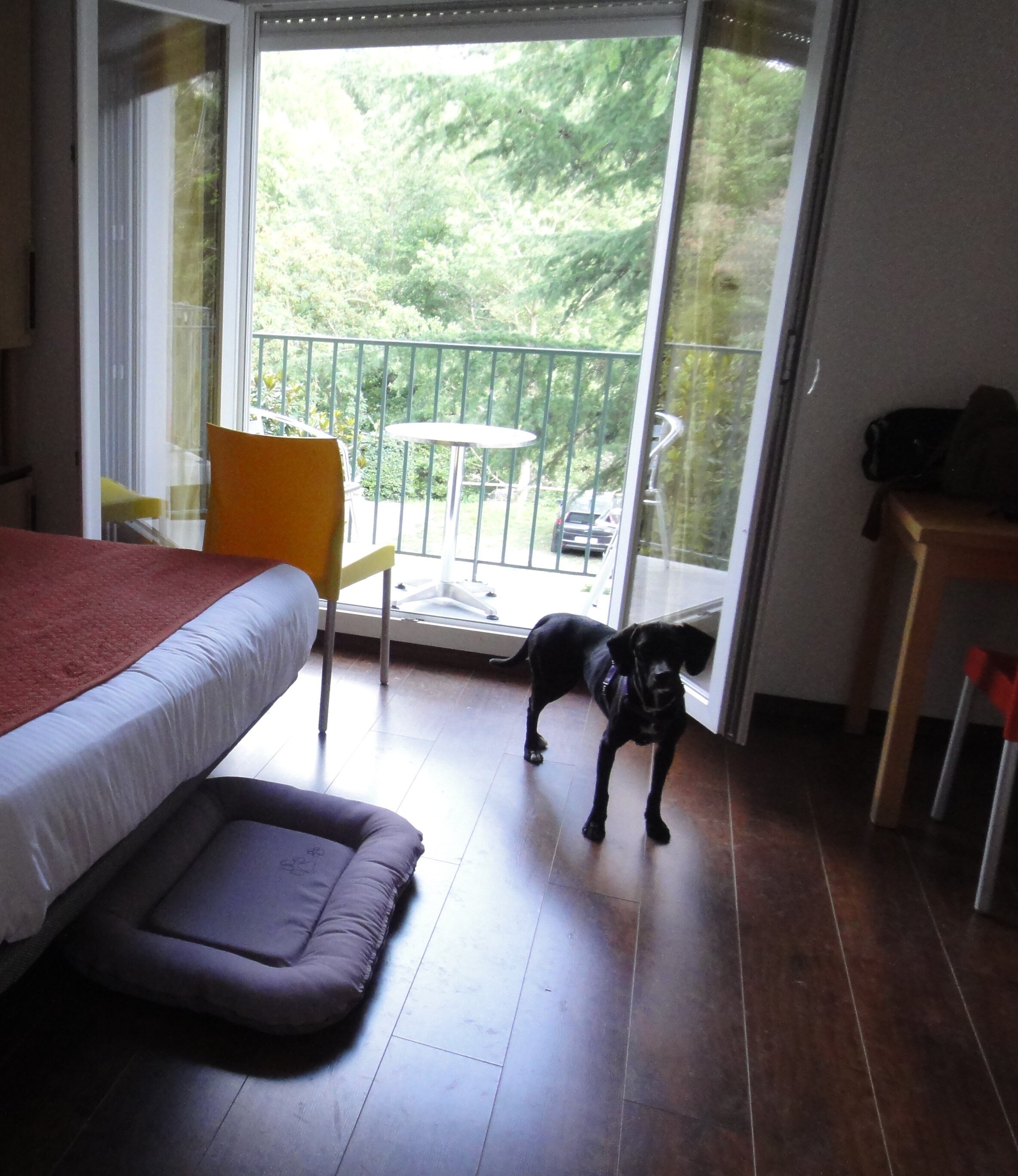 Appart Hôtel Castel Emeraude-客卧
