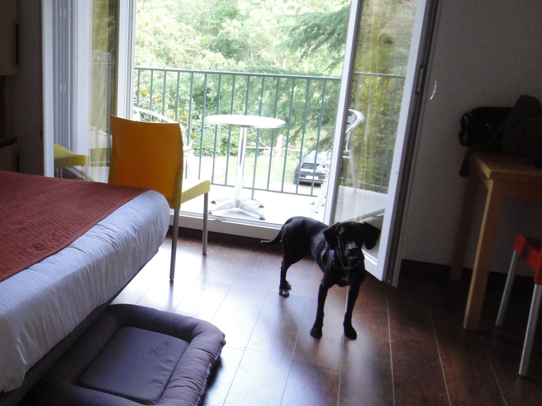 Appart Hôtel Castel Emeraude主图