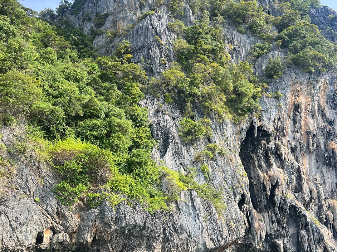 Tin Adventure Sea Tour-兰塔岛必去景点