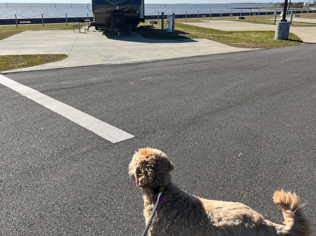 Buccaneer State Park-Waveland必去景点