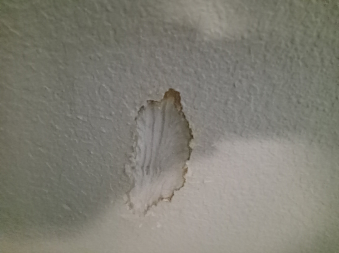 Red Roof Inn Greenville, Nc主图