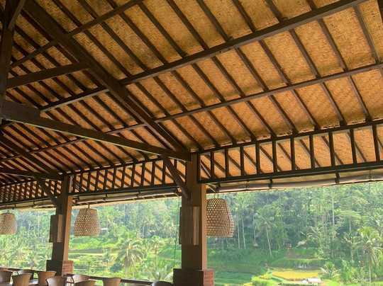 巴厘电动车之旅-乌布必去景点