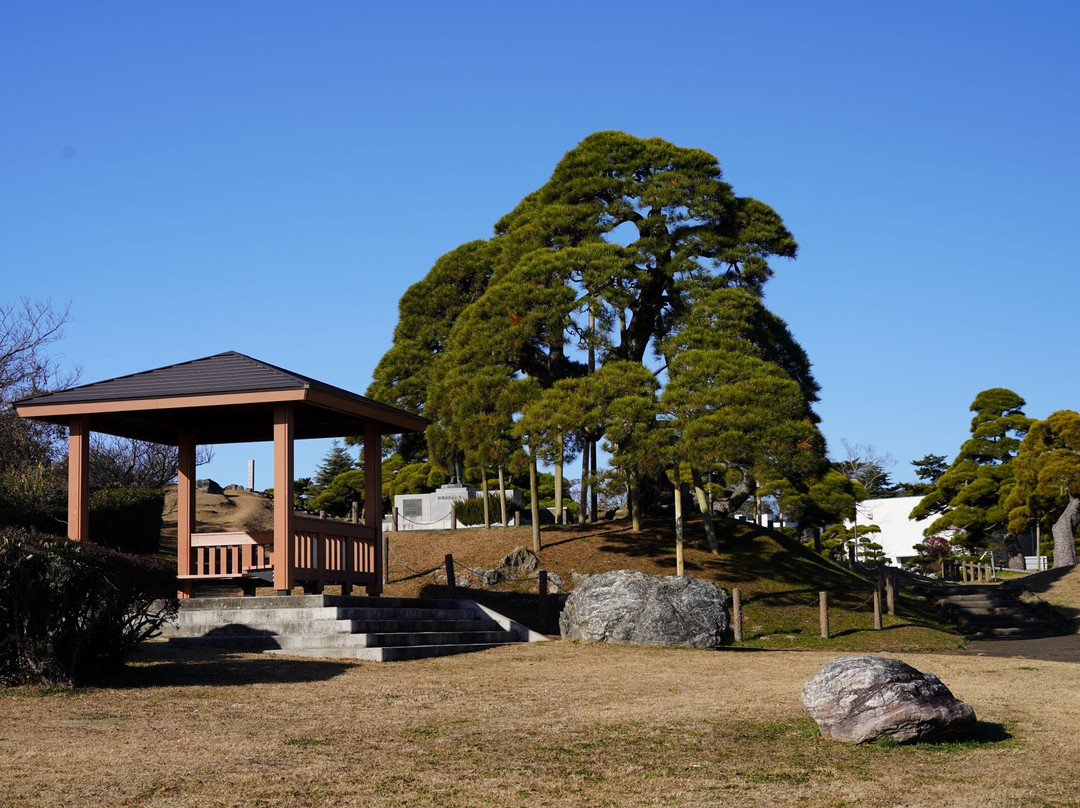 Minato Park景点图片