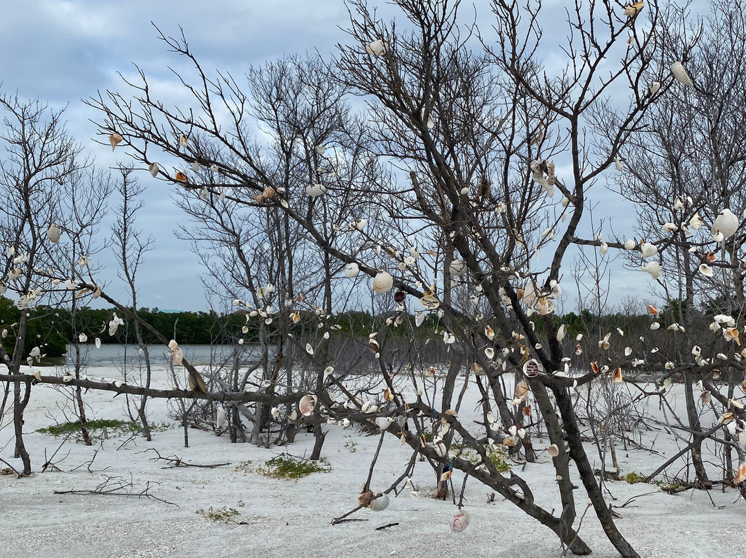 Tigertail Beach景点图片