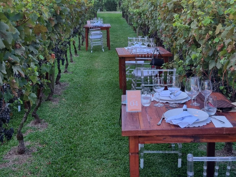 Vinícola Lovara-本图贡萨尔维斯必去景点