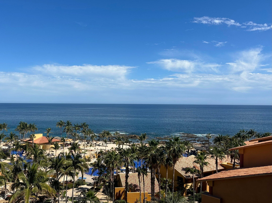 Brown's Private Services Transportation-卡波圣卢卡斯必去景点