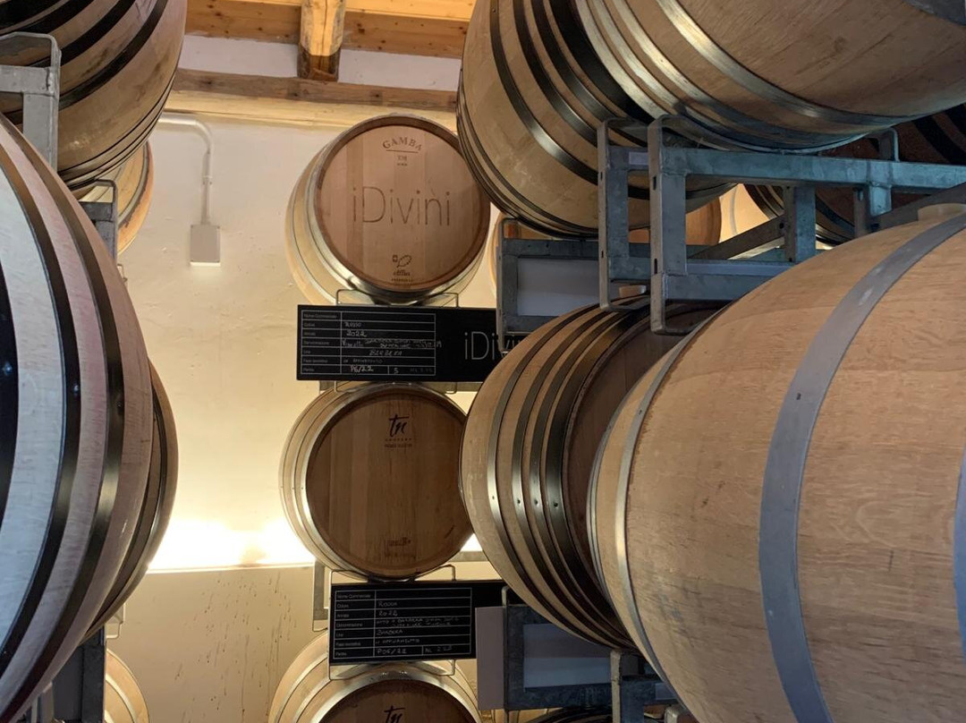 Azienda Vitivinicola Idivini-Isola d'Asti必去景点