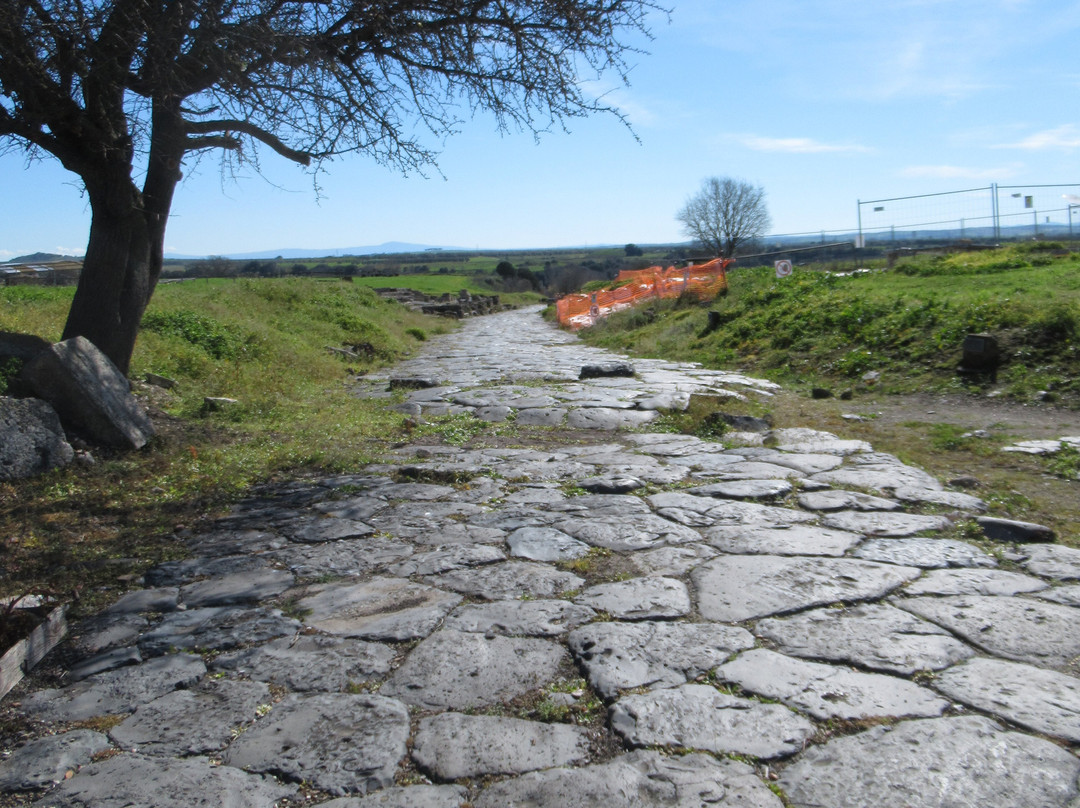 Parco Archeologico Naturalistico di Vulci-Montalto di Castro必去景点