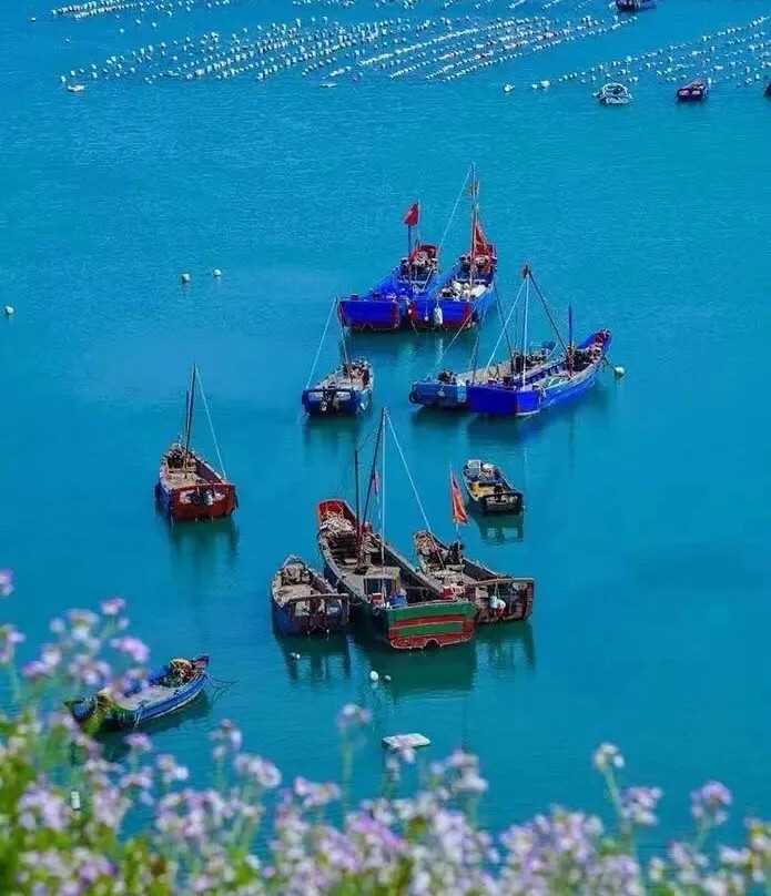 枸杞岛景点图片