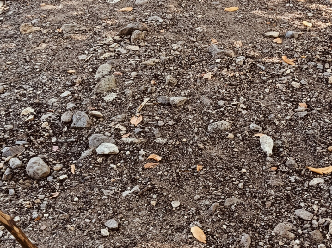 Apa Tour Indo-龙目岛必去景点