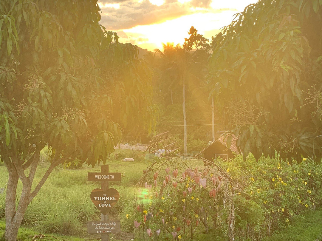 FarmPlate-Daraga必去景点