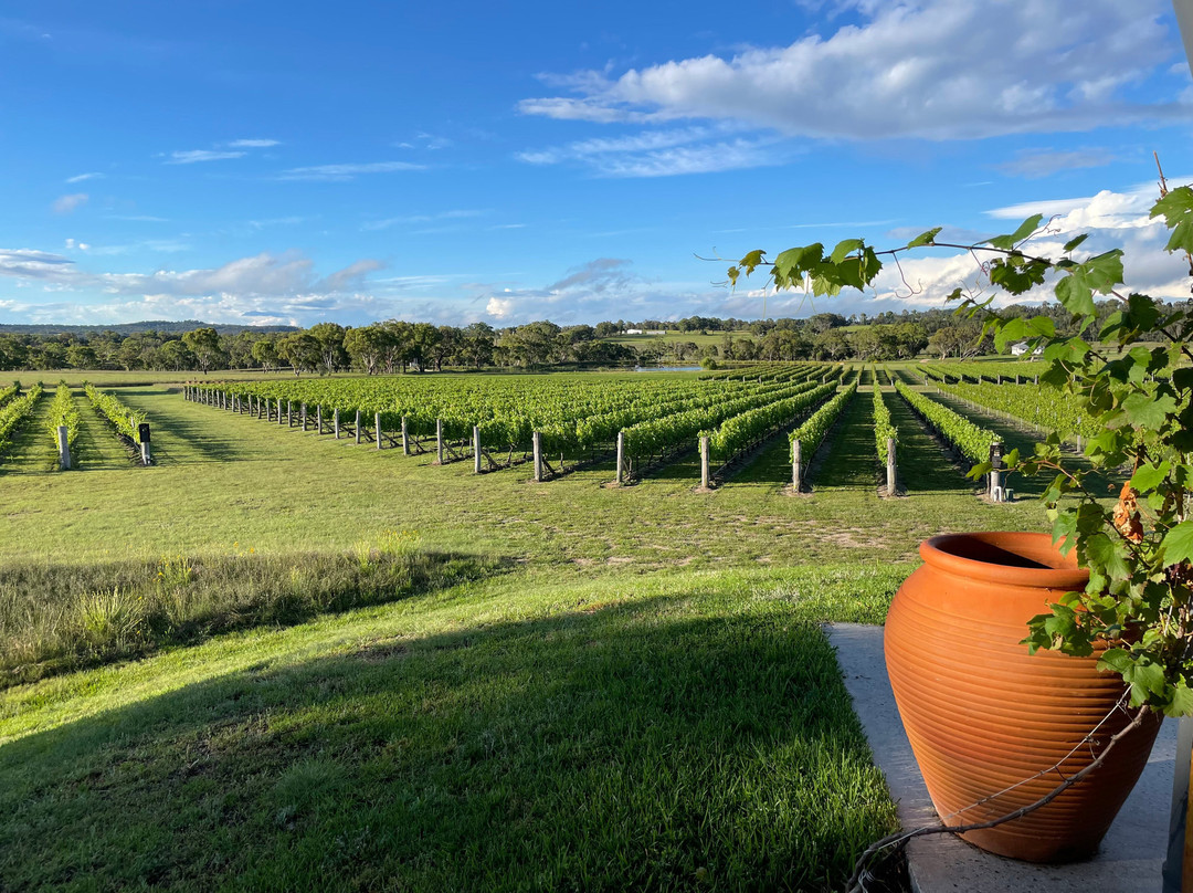Savina Lane Wines景点图片