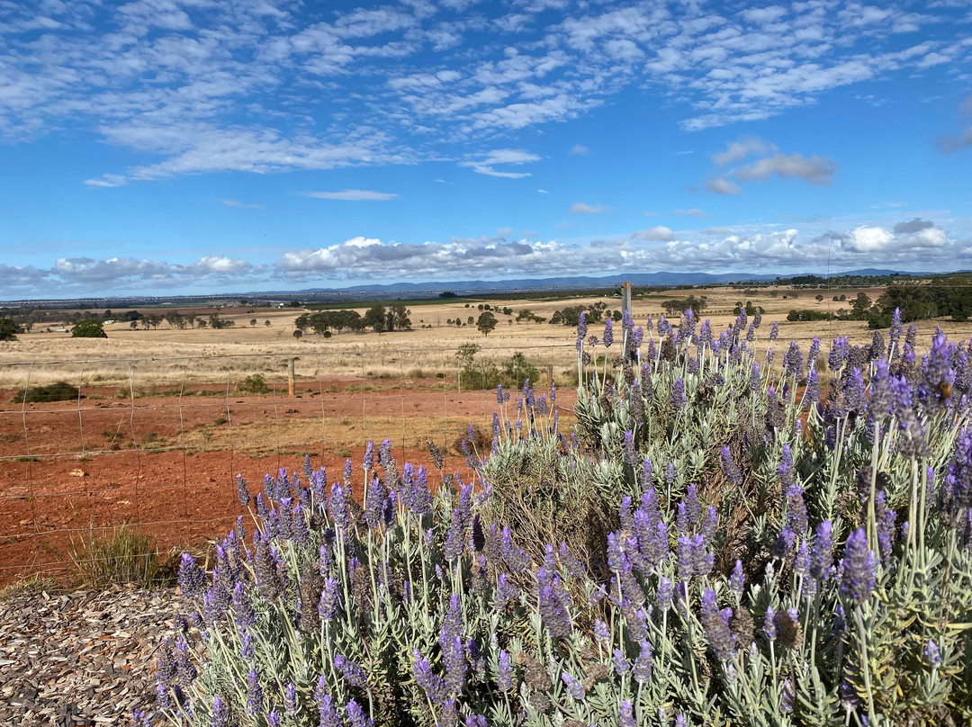 Mulanah Gardens主图