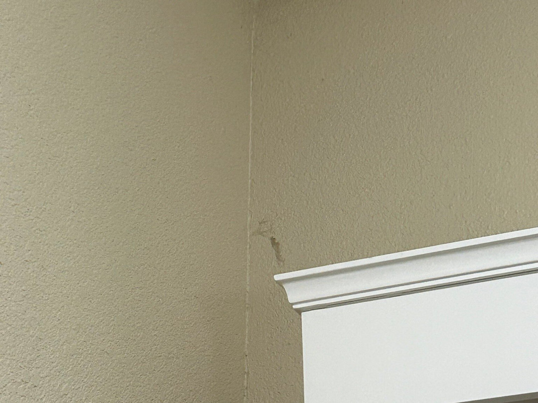 Comfort Suites Gainesville主图