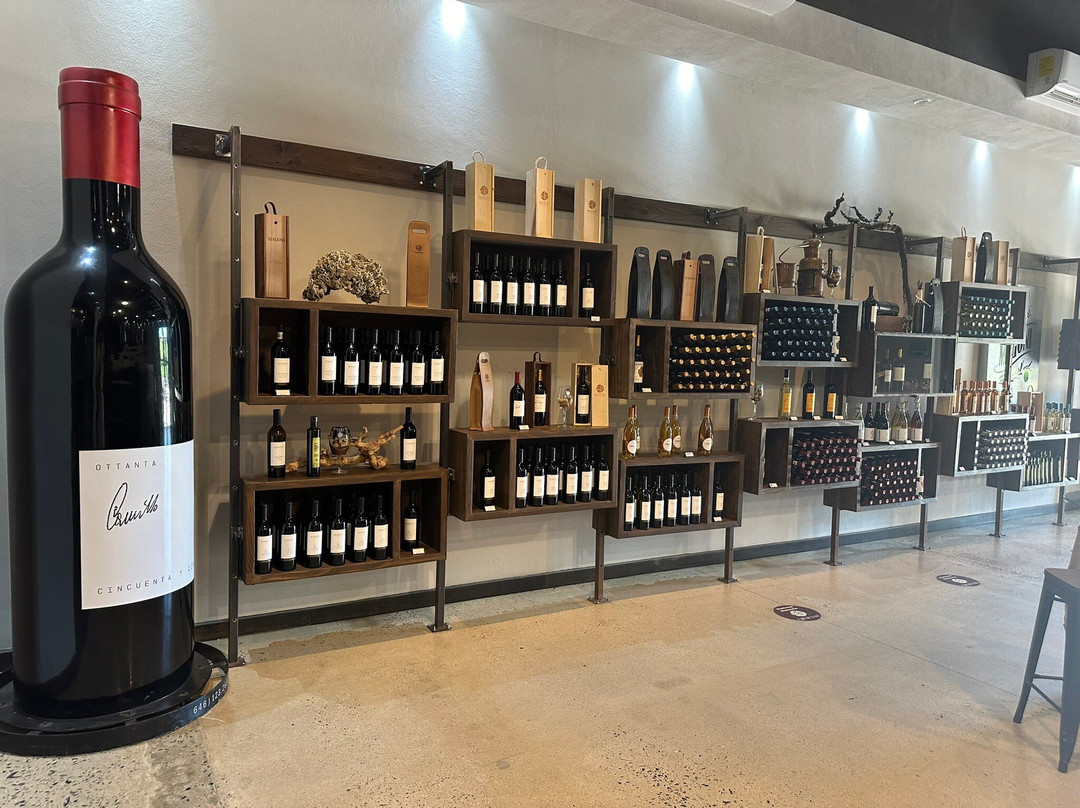 Bodegas Magoni-恩塞纳达必去景点