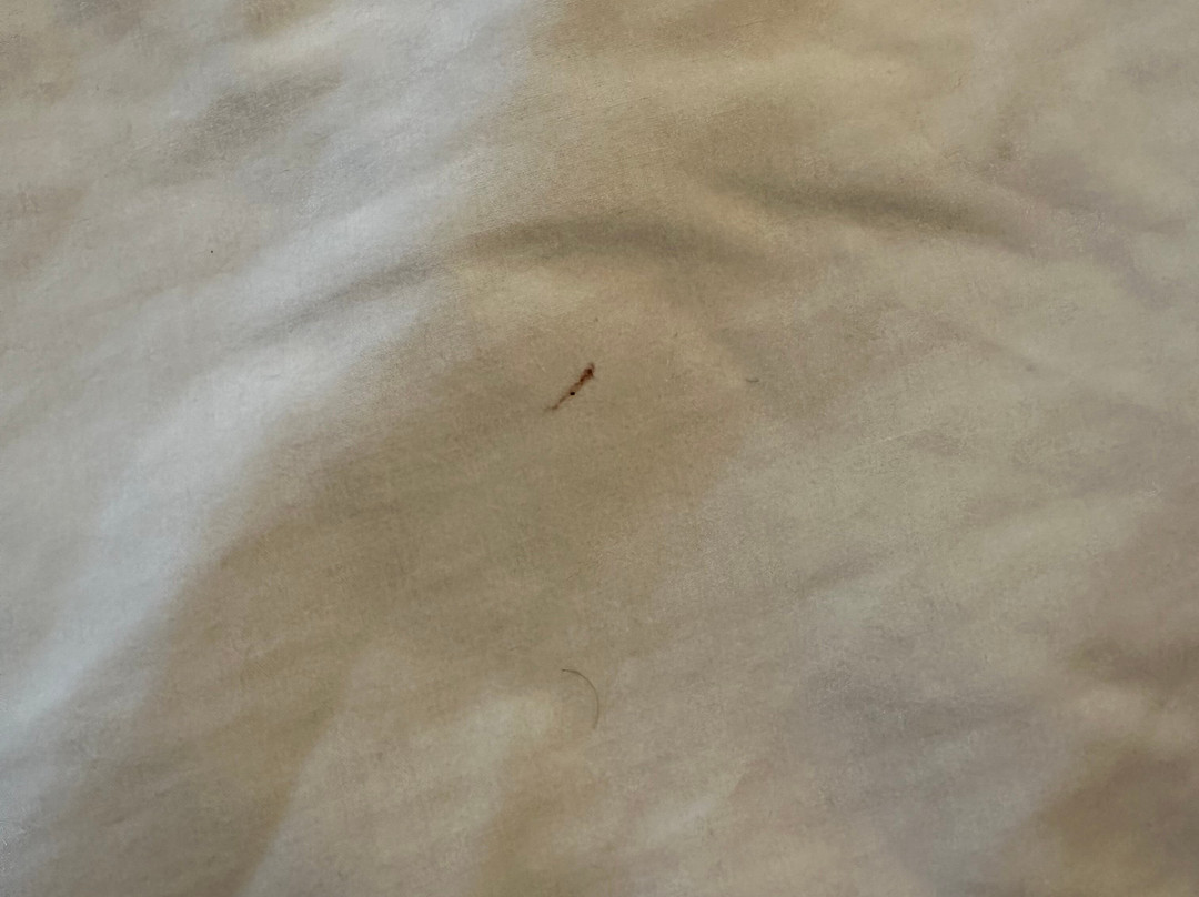 格林斯伯勒机场红屋顶酒店主图