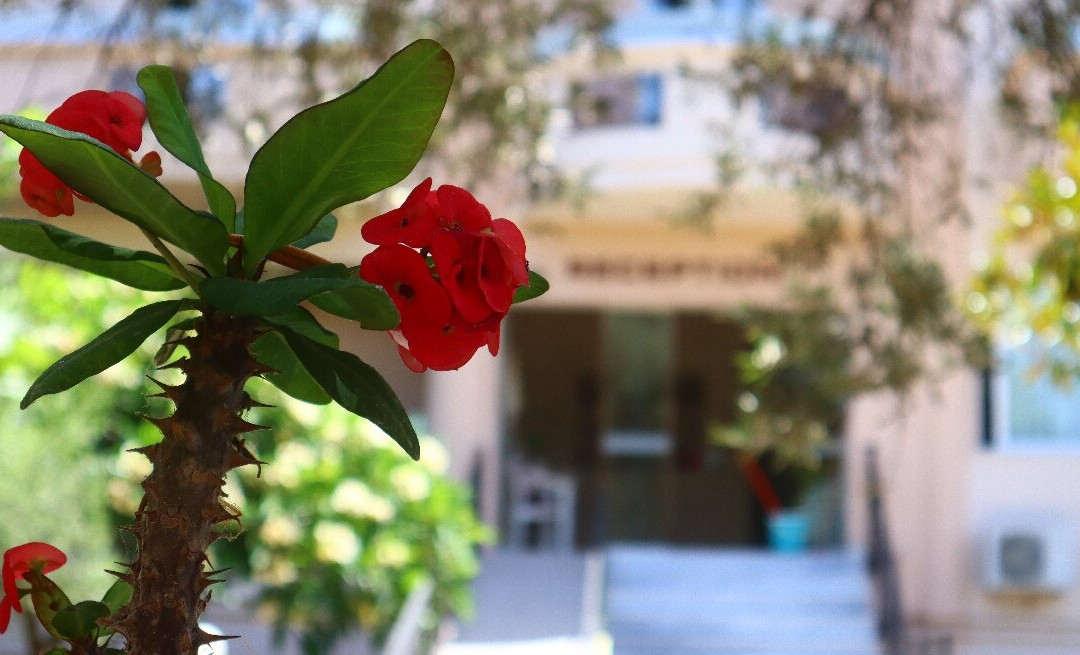 Kosmos A.G.K Studios-Apts主图