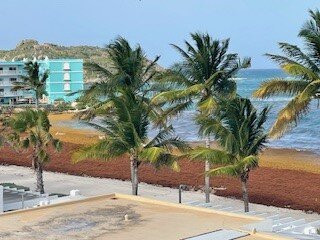 珊瑚海滩俱乐部主图