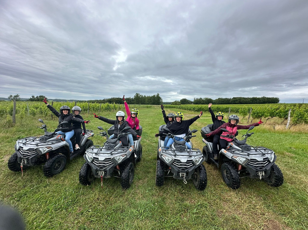 Randos en quad Off-Road Wine Tours景点图片