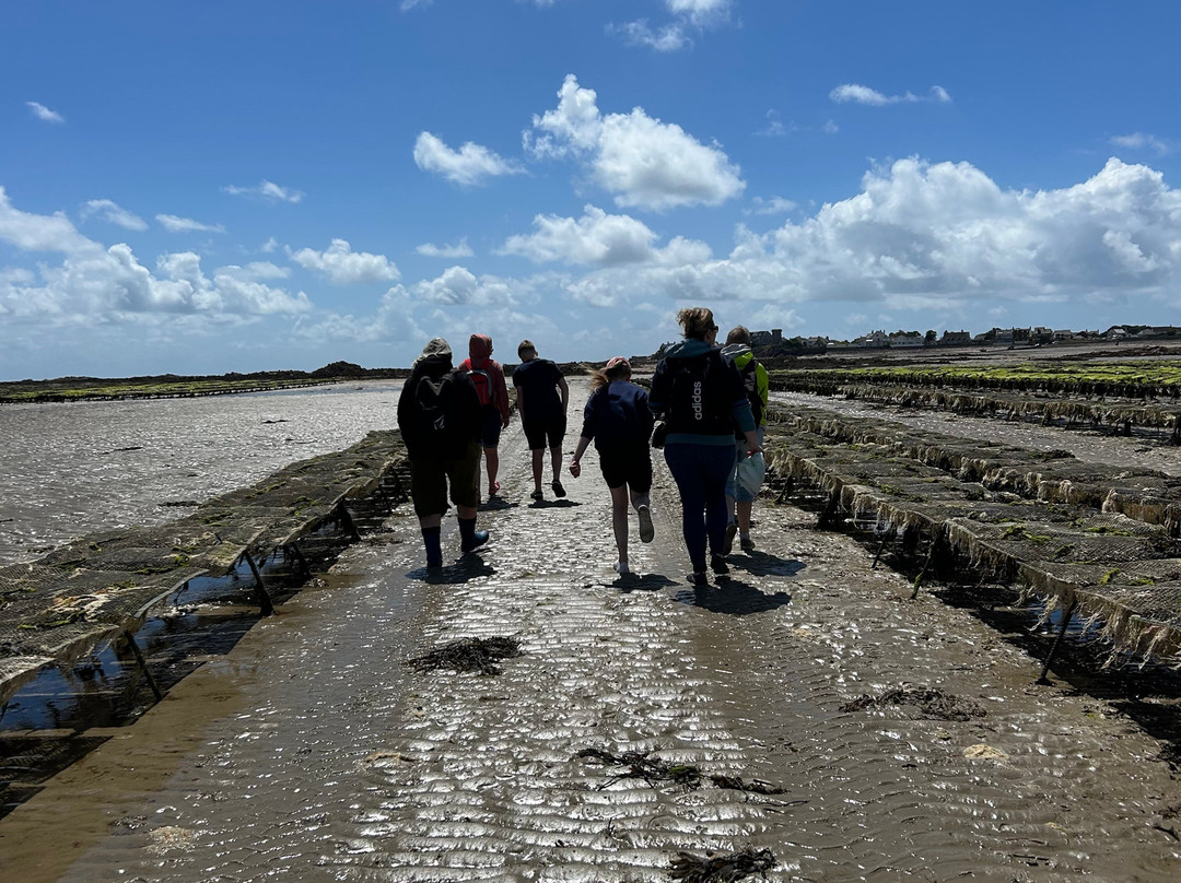 Jersey Walk Adventures-St. Helier必去景点