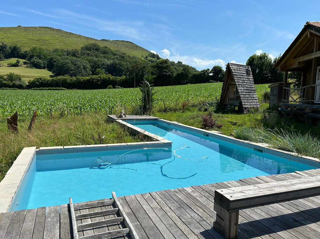 Les Fous du Village主图