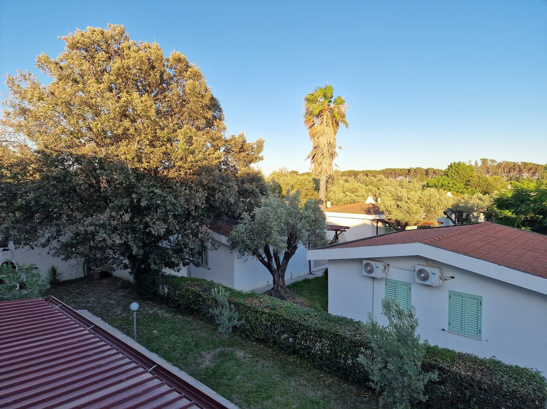 Borgo degli Ulivi主图