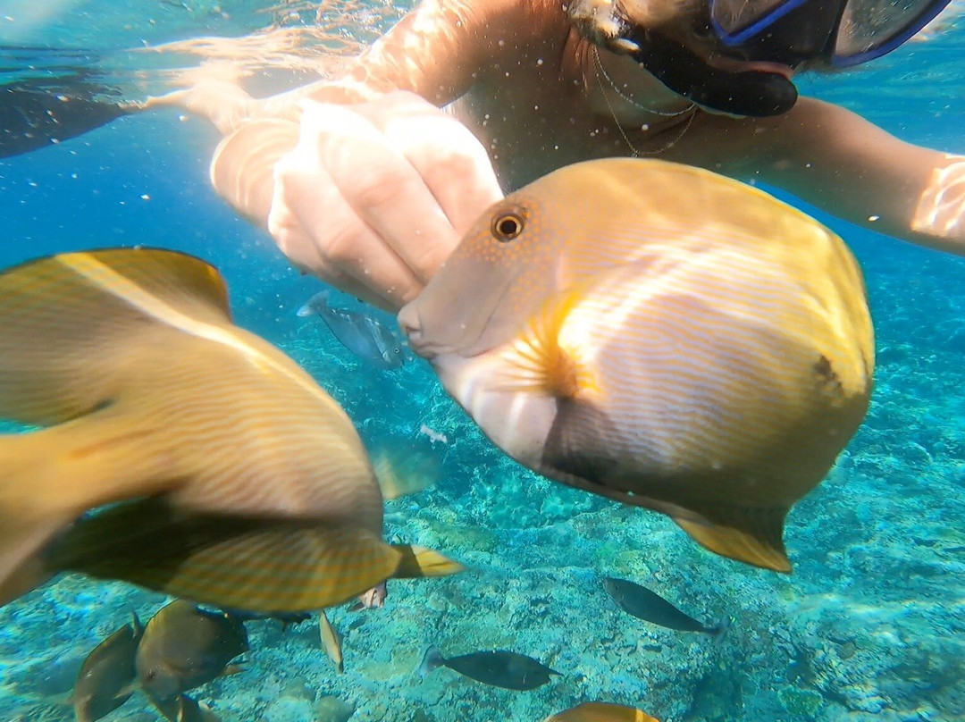 Blue Lagoon Snorkeling Ceningan-努沙切宁安岛必去景点