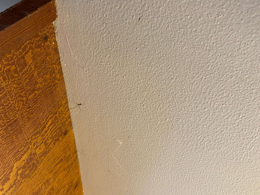 Alta Sierra Village Inn主图